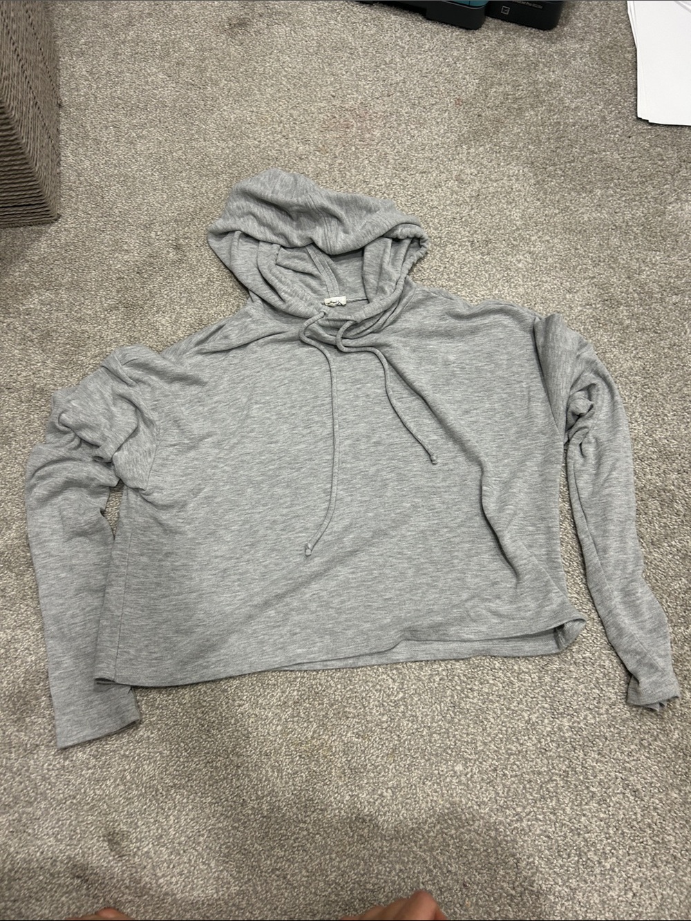 Wilfred Light Gray Cropped Hoodie Sweatshirt